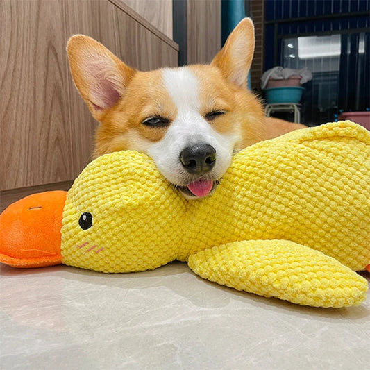 Duck Squeak Toy