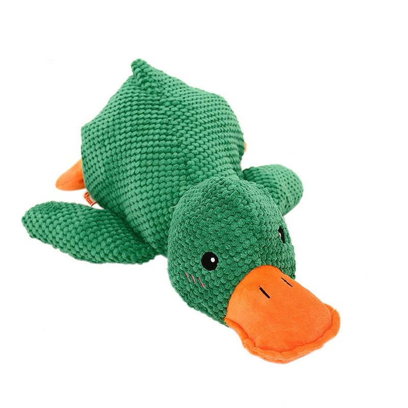 Duck Squeak Toy