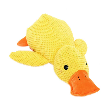Duck Squeak Toy