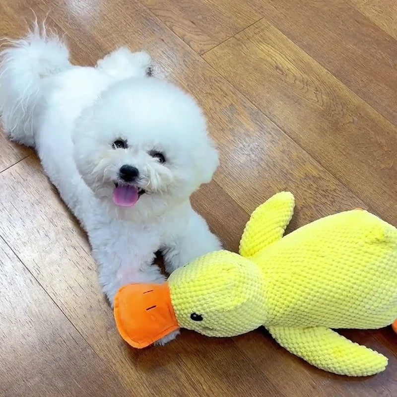 Duck Squeak Toy