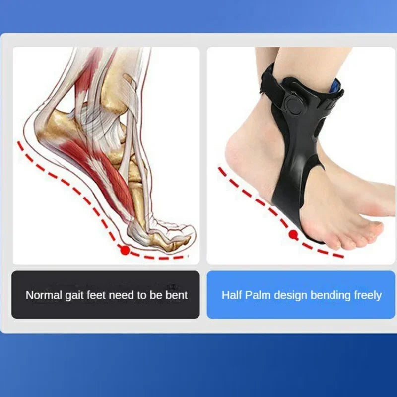 Adjustable AFO Brace